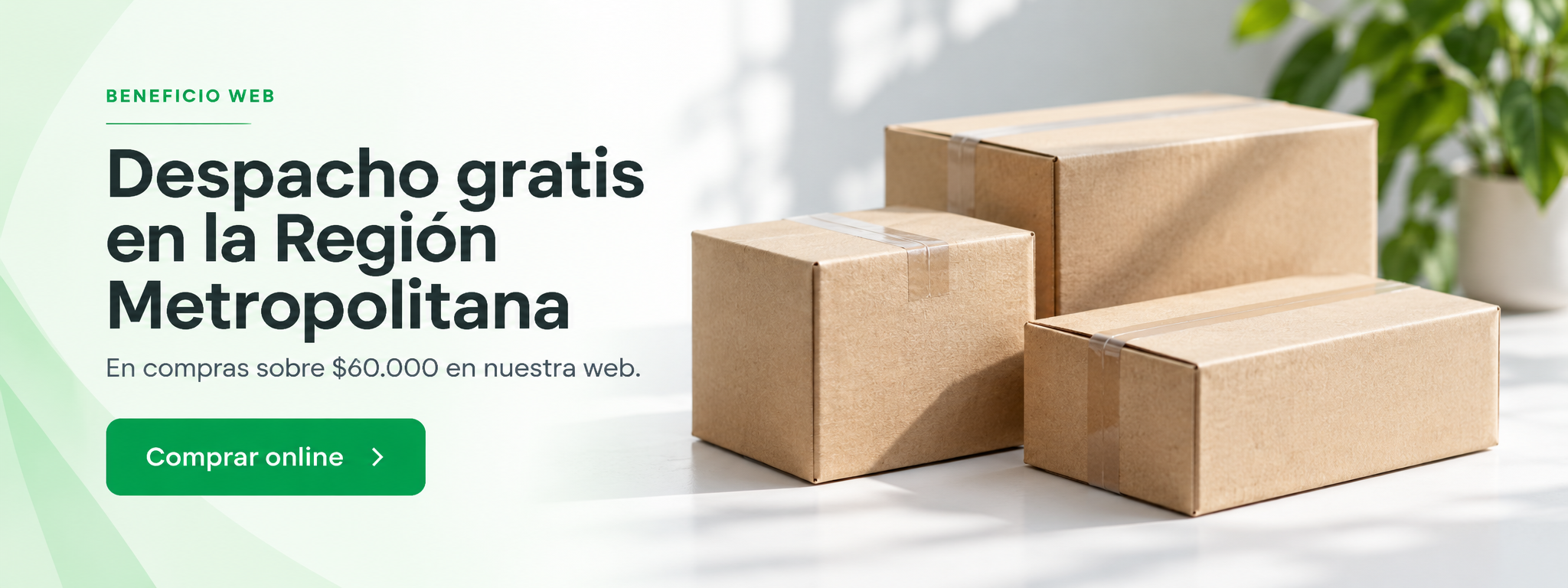 Despacho gratis en la Región Metropolitana en compras sobre sesenta mil pesos.