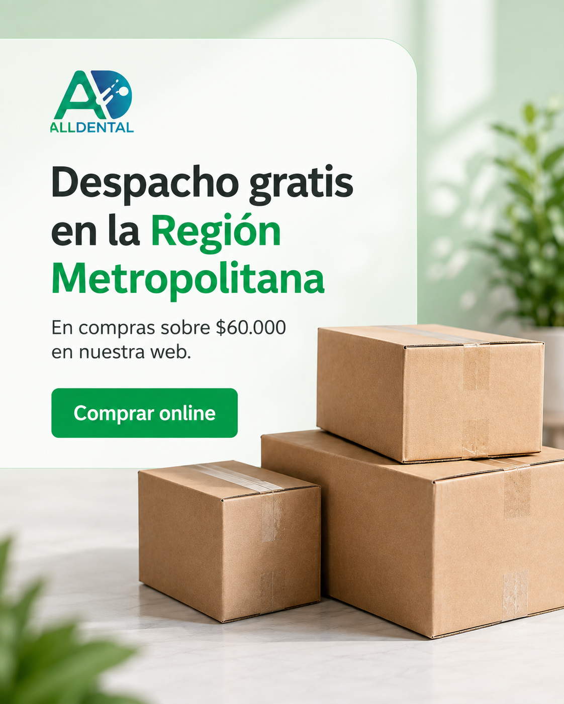 Despacho gratis en la Región Metropolitana en compras sobre sesenta mil pesos.