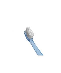 Vitis Orthodontics