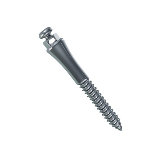 Microtornillo Extrarradicular Slot Rectangular | Morelli