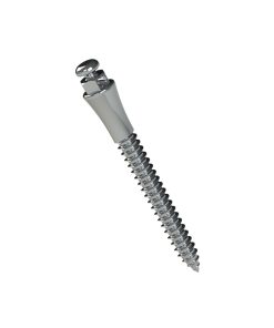 Microtornillo Extraradicular | Morelli