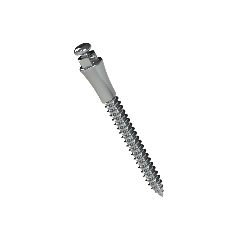 Microtornillo Extraradicular | Morelli