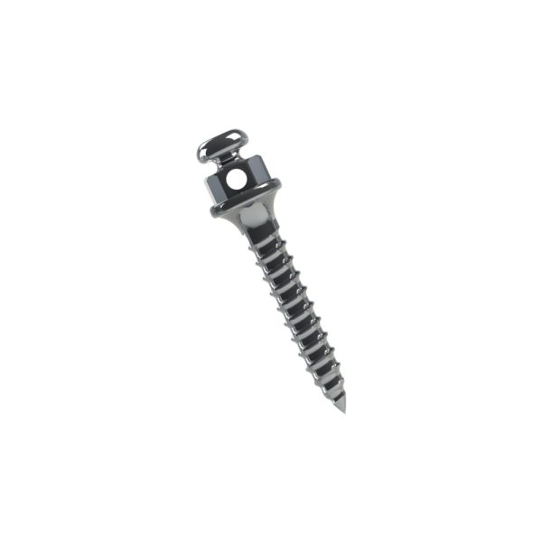 Microtornillo Ortodoncia | Morelli