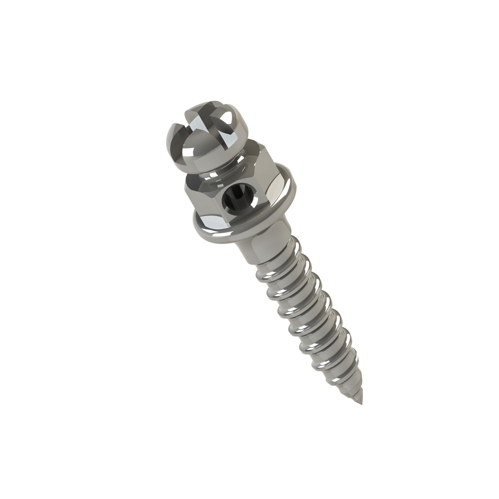 Microtornillo Tipo Bracket Horario | Morelli