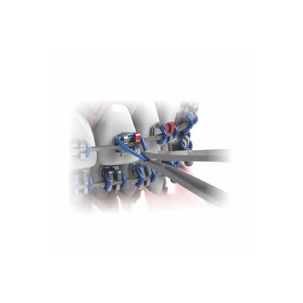 Pinza Plic | Morelli Detalle